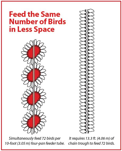 Karmidło Chore-Time Genesis dla niosek w okresie odchowu - więcej miejsca dla ptaków